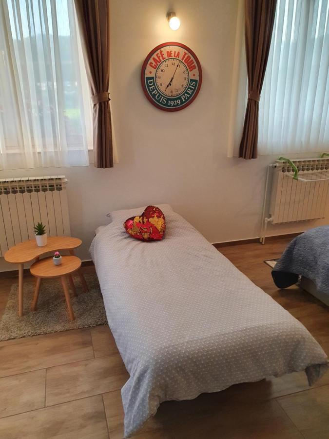 Studio Apartmani Toplicka Bajka Krapinske Toplice Dış mekan fotoğraf